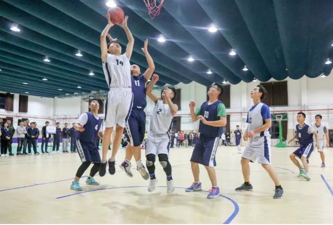 1537357342999917.jpeg 1537357342999917.jpeg