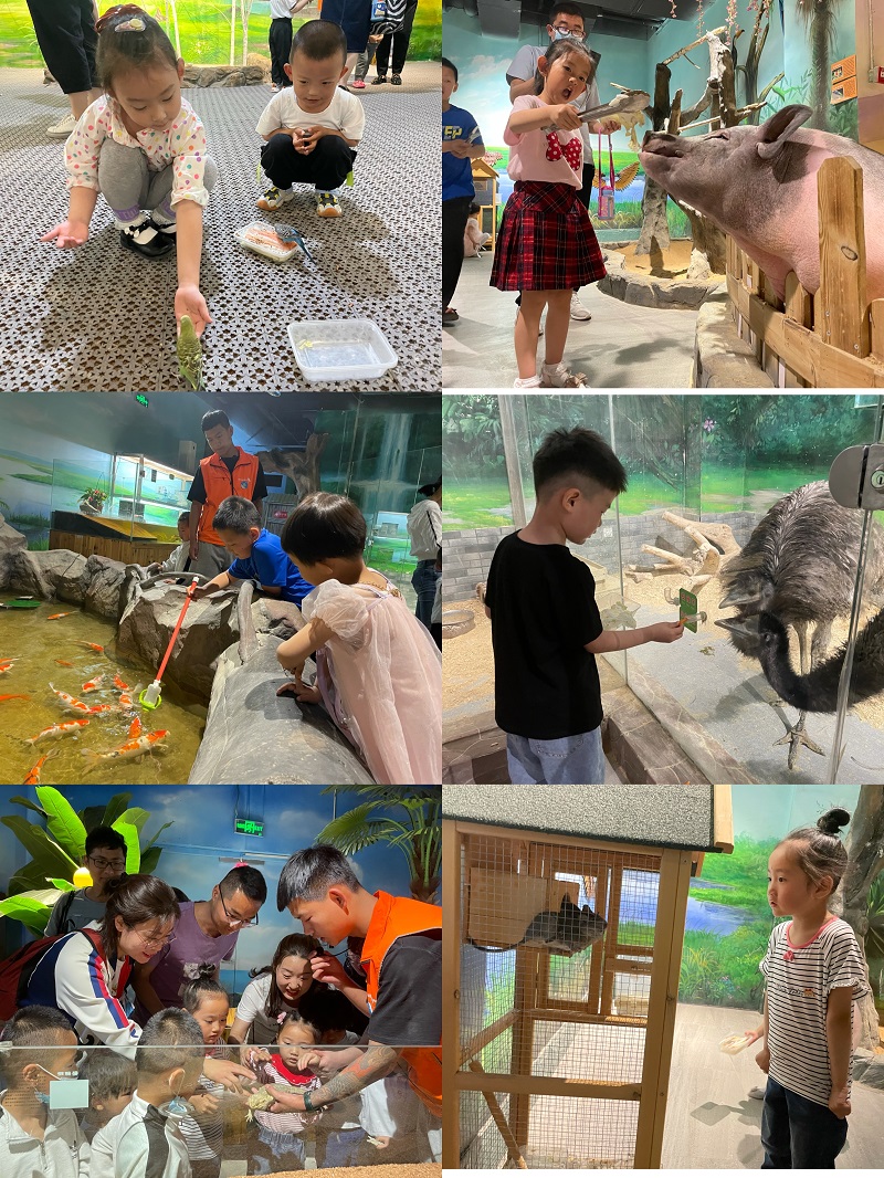 1622448537726012.jpeg 动物1.jpg