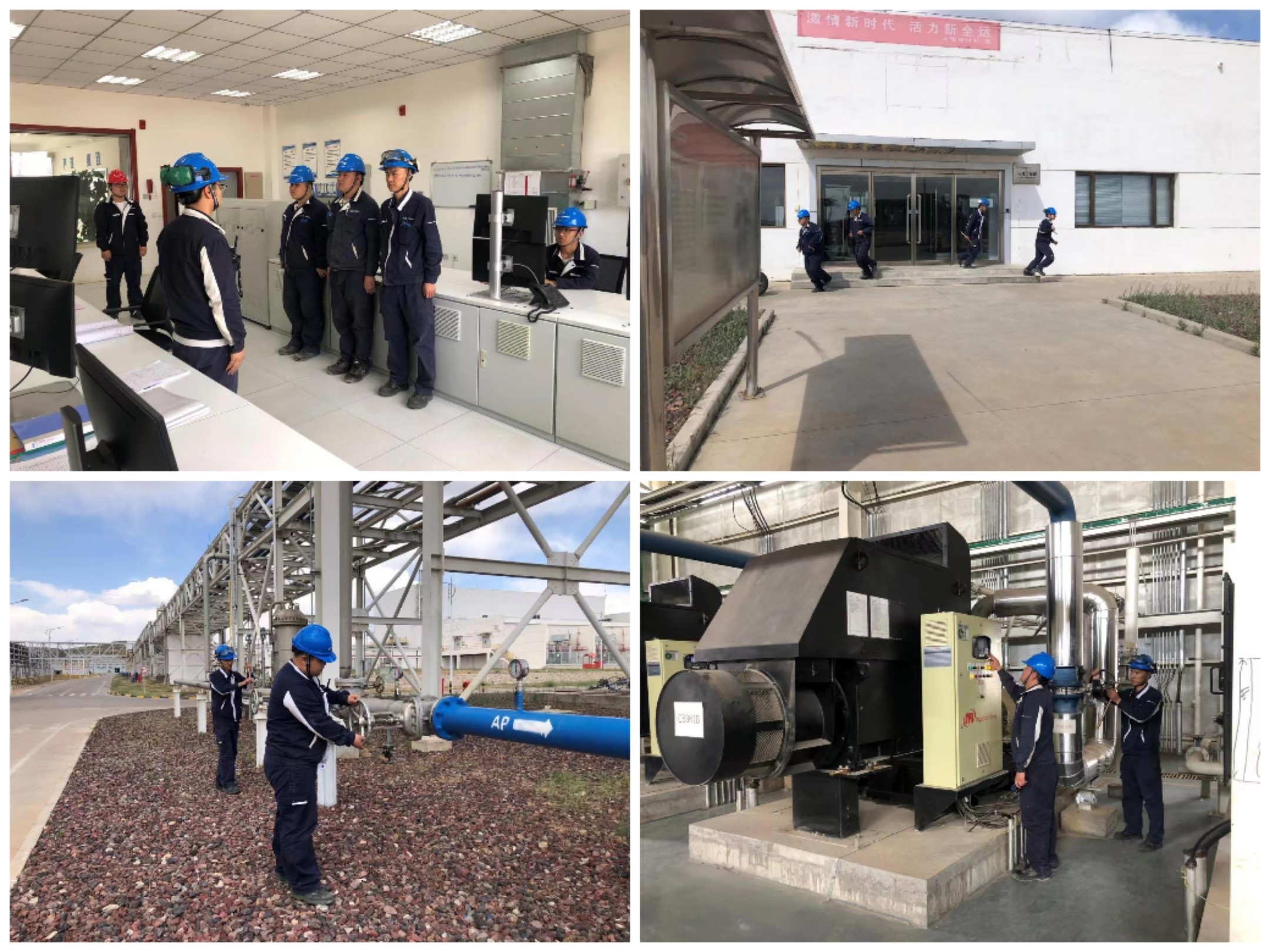 1652667619596917.jpeg 00.jpg