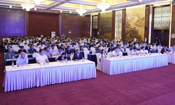 1688021415919511.jpeg 3.jpg