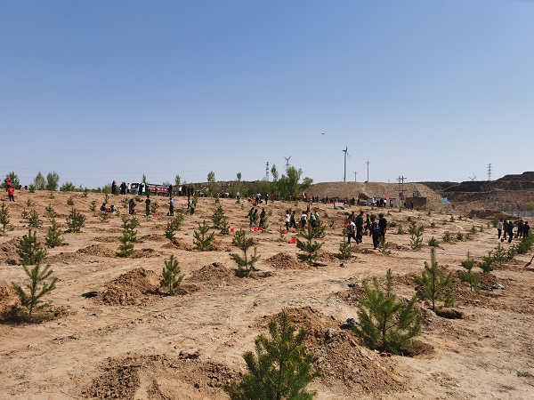 1713148995820233.jpeg 33.jpg