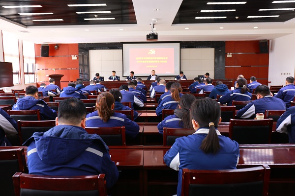 1743381227996344.jpeg 会议照片.JPG